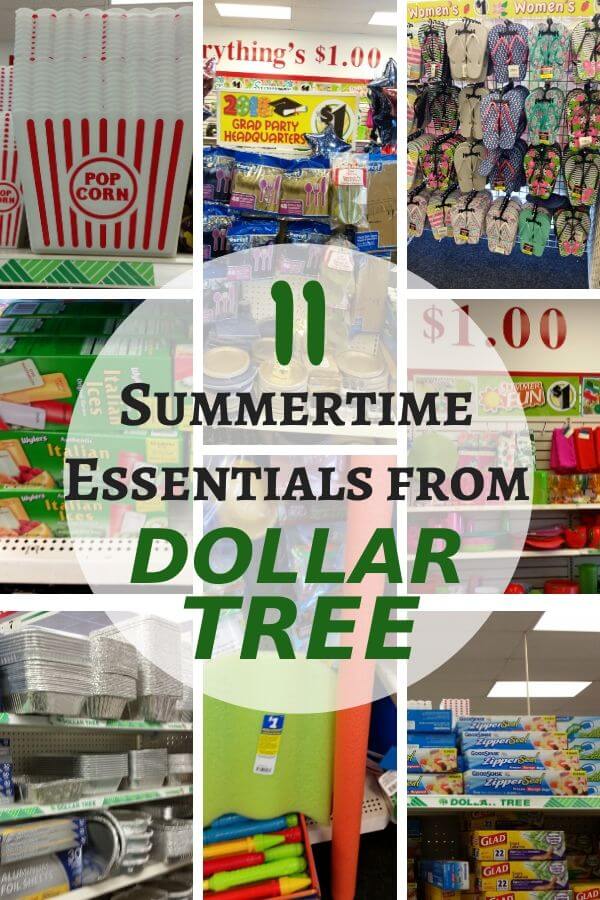 20+ things to buy at DOLLAR TREE - some of my favorite Dollar Tree