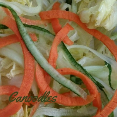Spiralized cucumber and carrots made with a veggetti