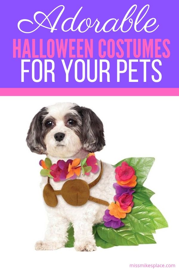 Include Your Pets in the Halloween Fun