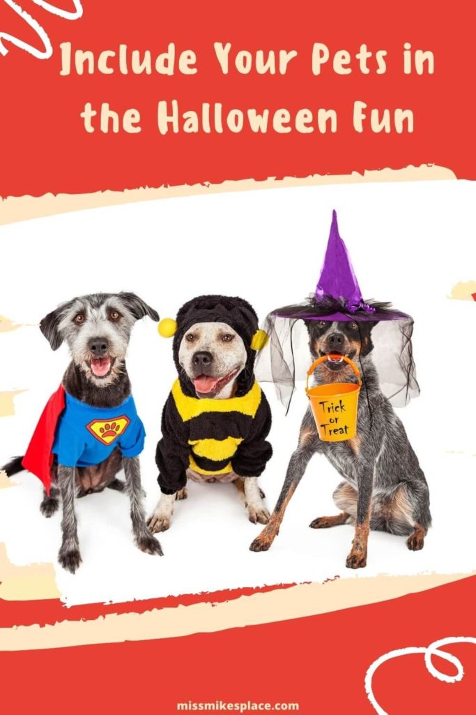 Pets in Halloween costumes