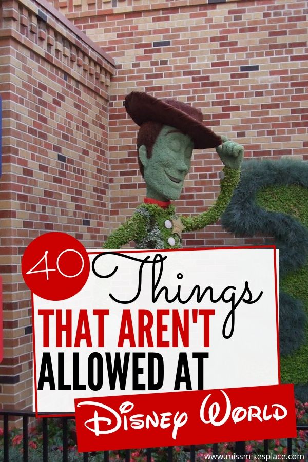 Things that aren't allowed at Disney World