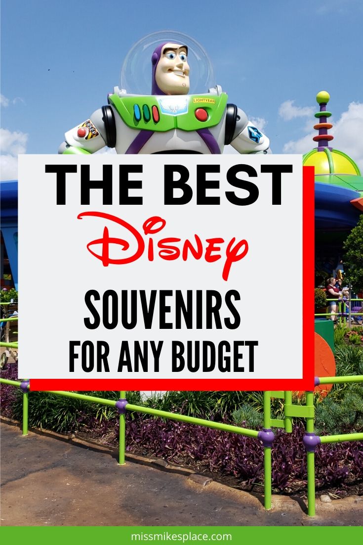The Best Disney World Souvenirs - Miss Mikes Place