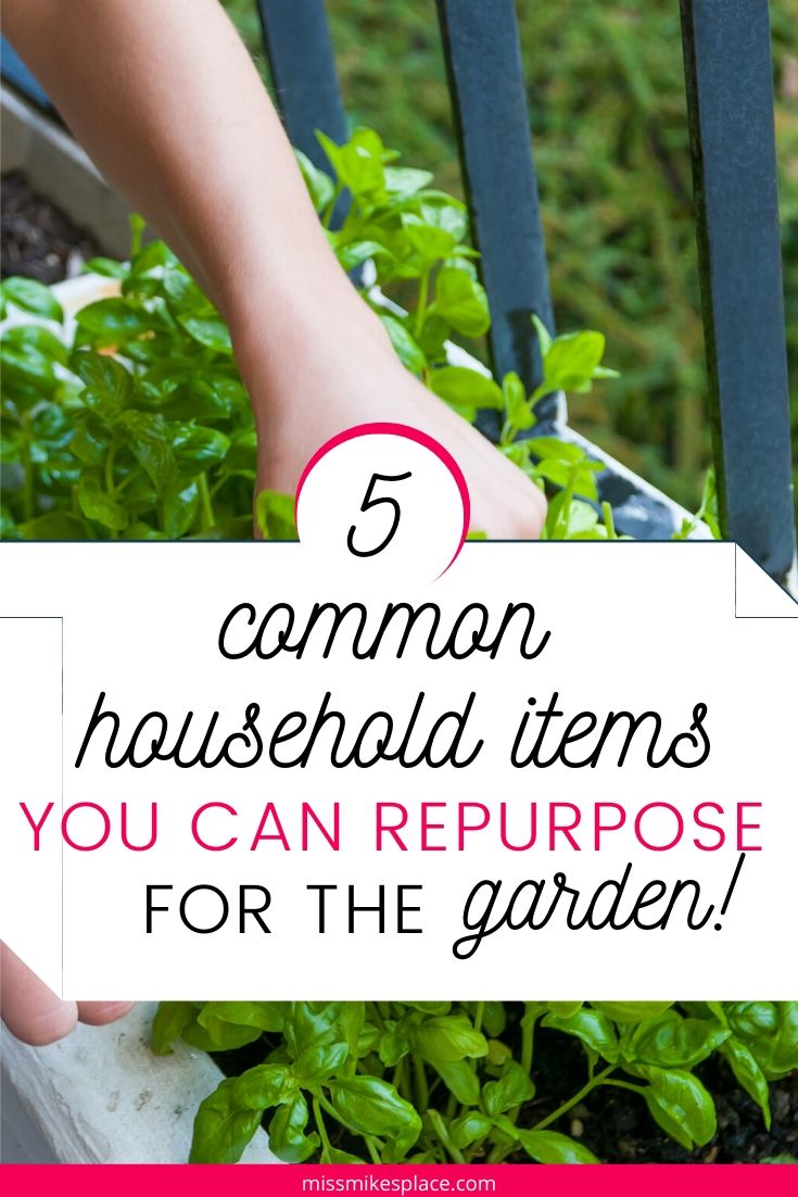 5 Common Household Items You Can Repurpose For The Garden