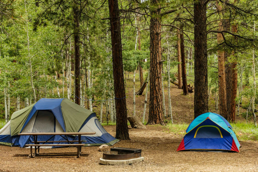 Tents set up in the woods for camping
