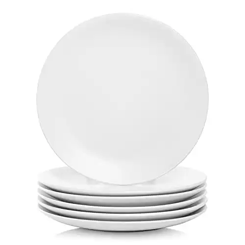 10 Strawberry Street Wazee Matte 10.5" Coupe Dinner Plate, Set of 6, White